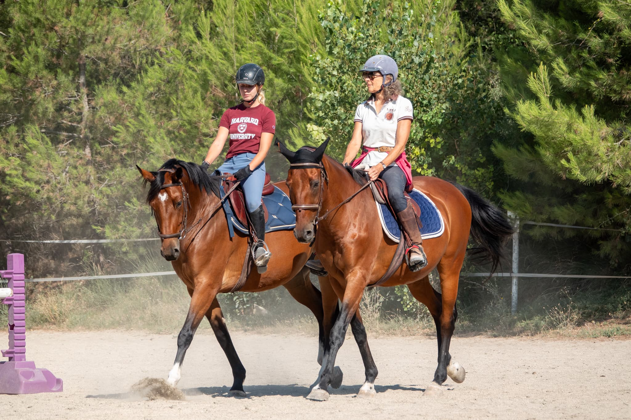 Poney Club Desportis